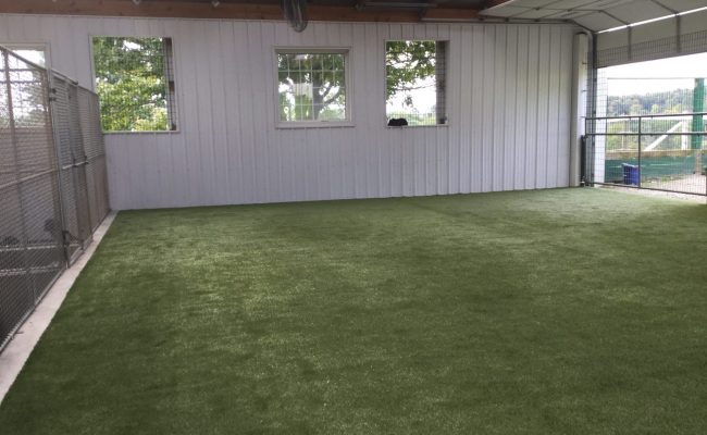 Training Yard Training Yard